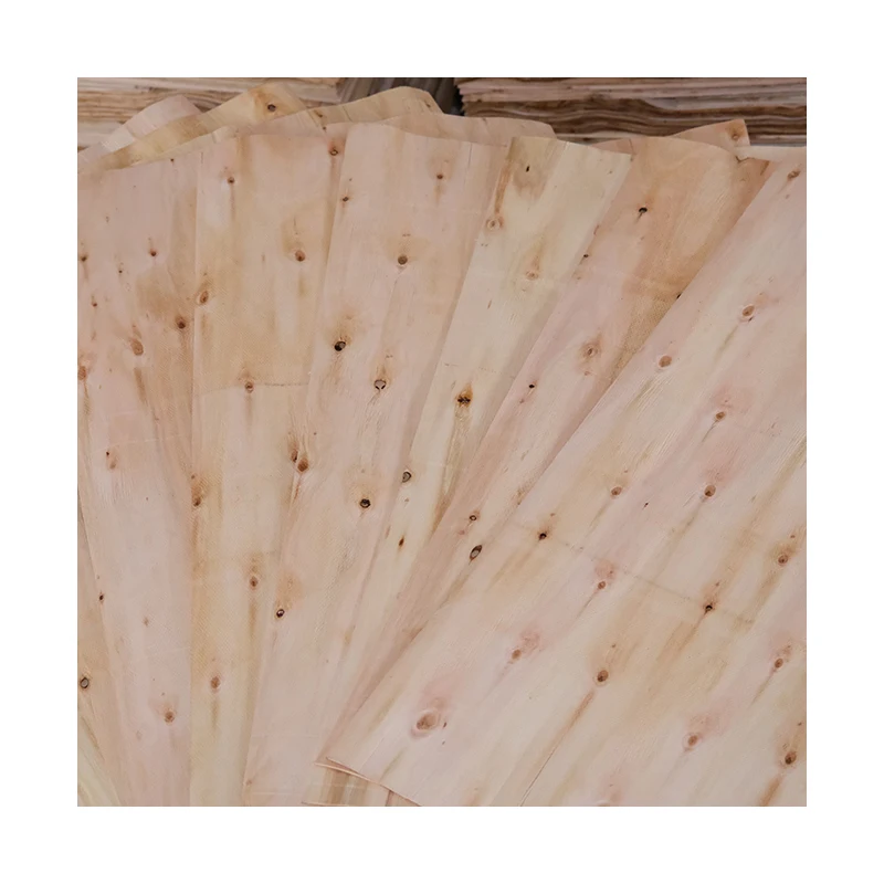 New design strong eucalyptus material construction usage plywood sheet