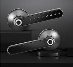 Smart TTlock fingerprint lock tuya APP control password card unlock digital door locks