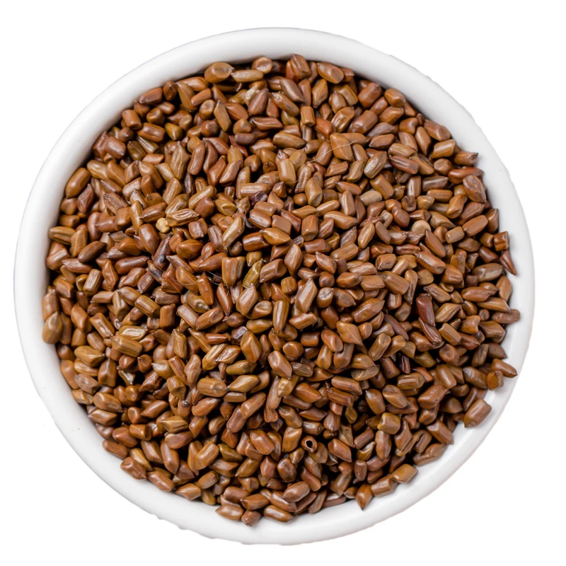 Longshantang Astragalus Cassia seed New goods without smoked sulfur full grain Natural color clear smell