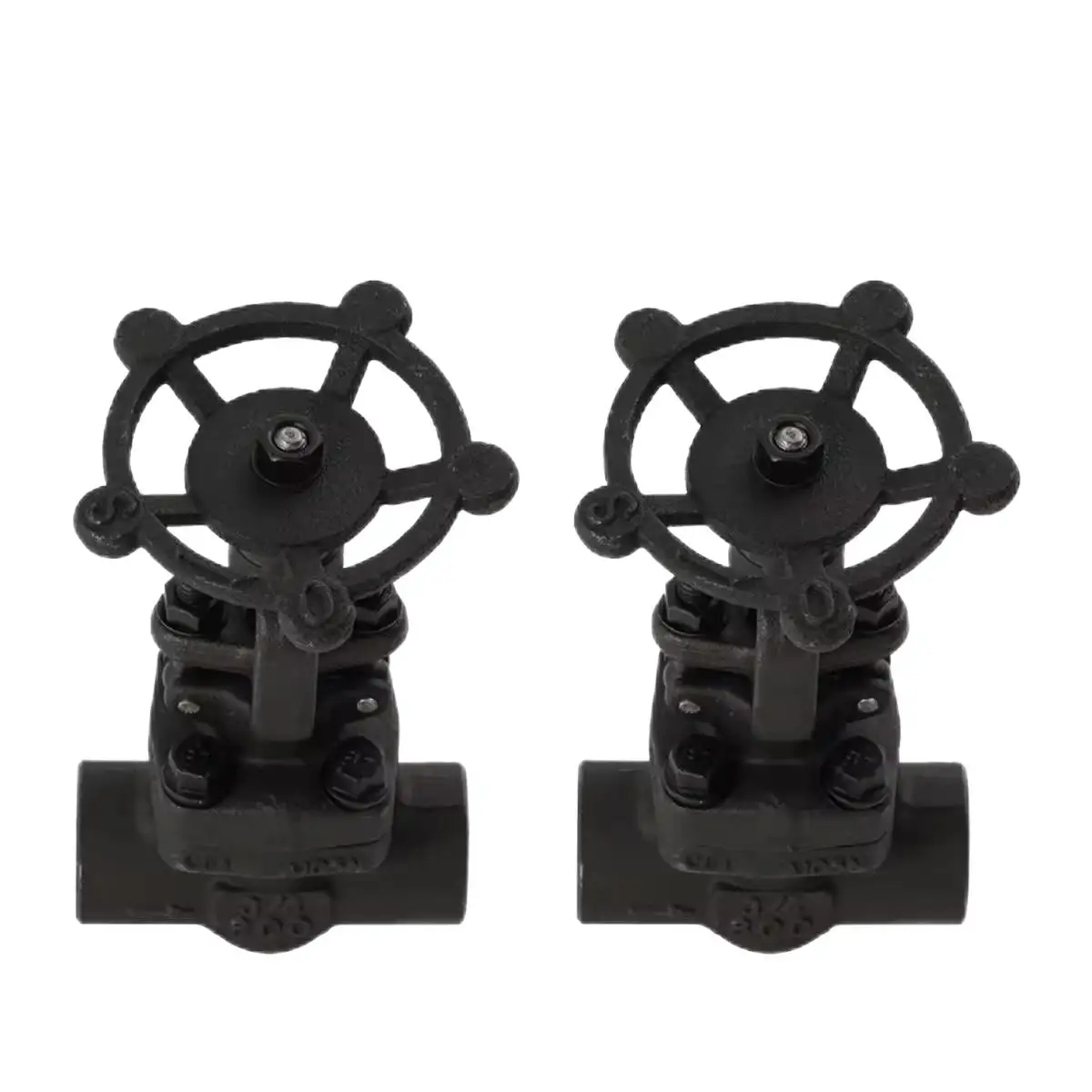 A105N Forged solid wedge gate valves sw npt 800lb socket weld butt weld gate valves