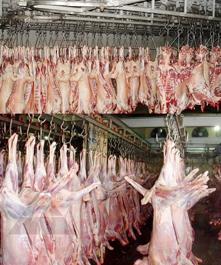 industrial lamb meat slaughterhouse for Slaughter line Ovine Sheep capacity 6 tons / day