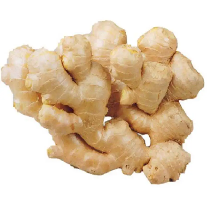High quality fresh ginger market price specification fresh ginger