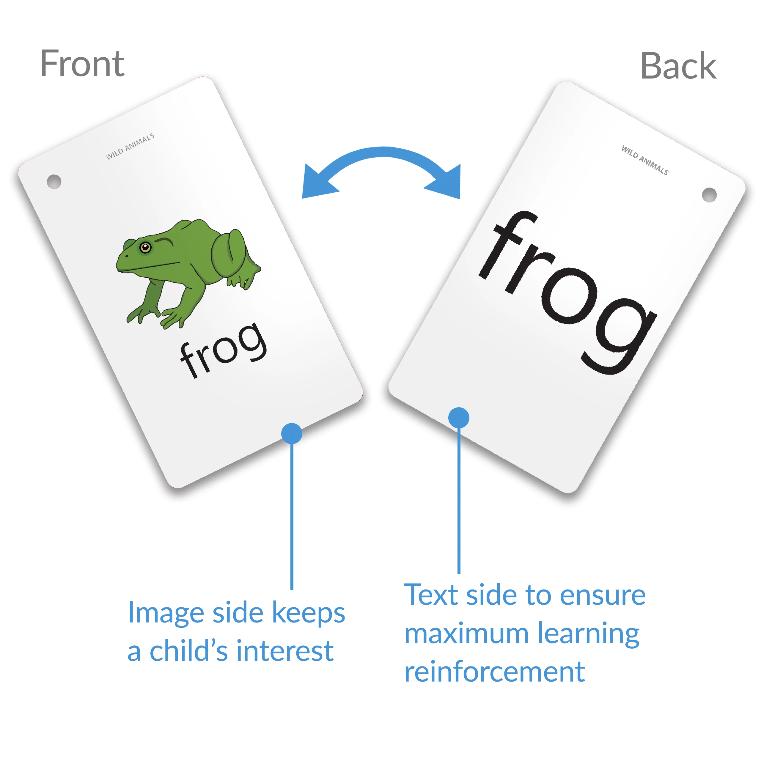 Set memory Flash Cards for Toddlers VEHICLES ANIMALS INSECTS