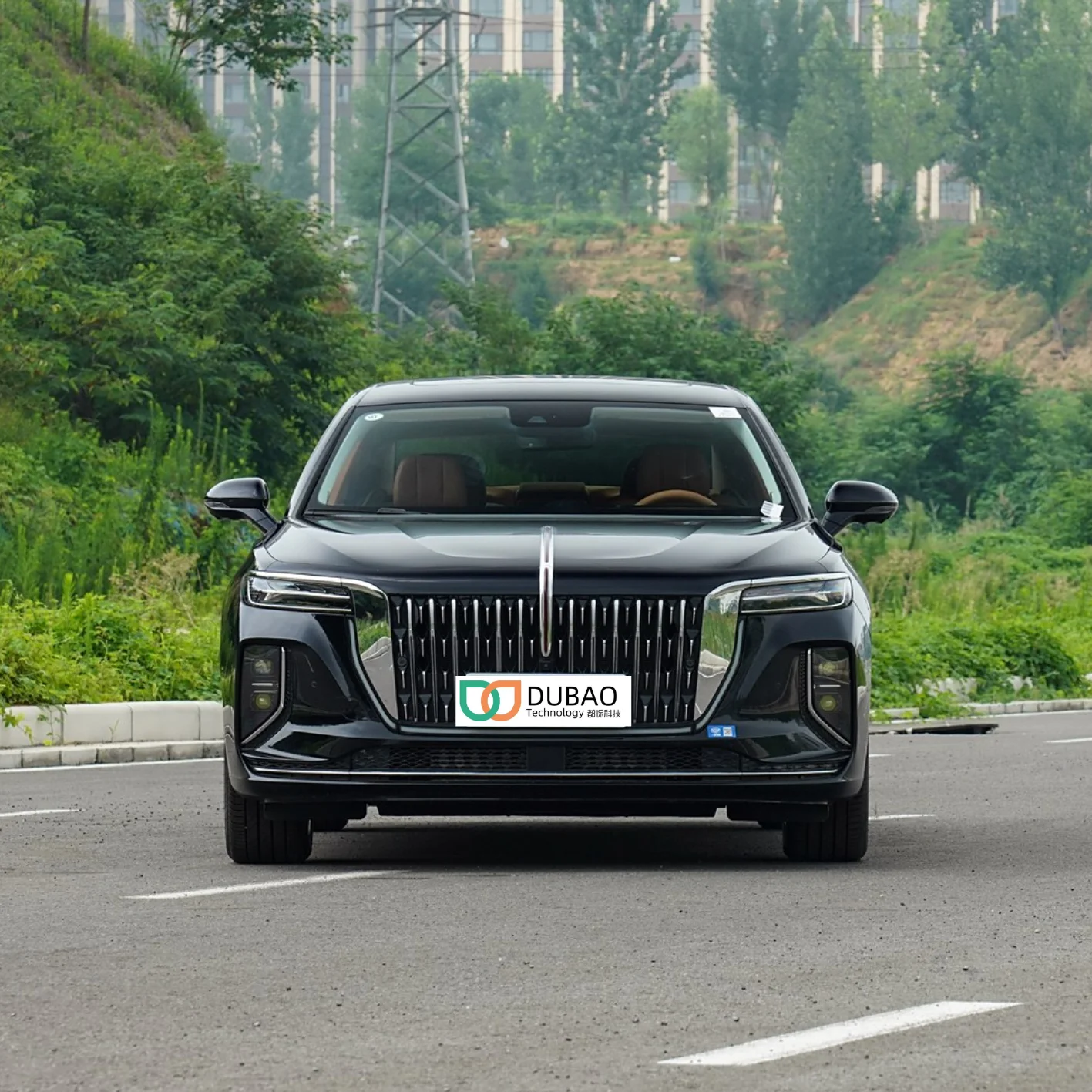 Gasoline Car 48V Hybrid  2024 FAW Hongqi H9 2.0T Flagship Luxury Business Edition 7DCT New Car