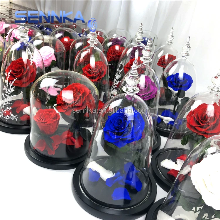 Wholesale Beauty and the Beast Design Flowers Real Natural Single Preserved Rose in Glass Dome for Wedding Decoration