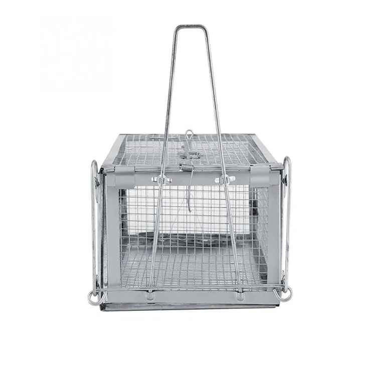 Humane No Kill Rat Traps Silver Galvanized Wire Mesh Mouse Trap Cage