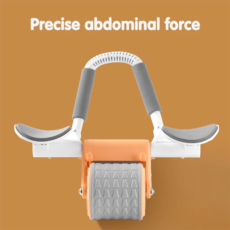 Home gym Abdominal fitness equipment Home Use Sports With Knee Pad Training Equipment Exercises ABS Roller Wheel Core Sliders