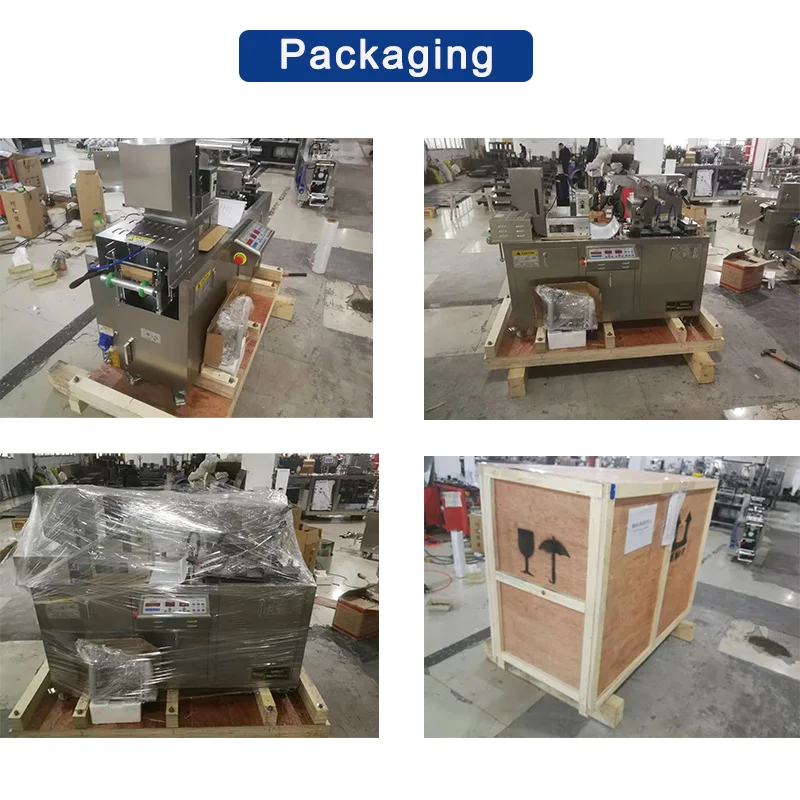 DPP80 Automatic Mini Small Flat Plate Alu Pvc Packaging Alu Alu Tablet Capsule Blister Packing Machine