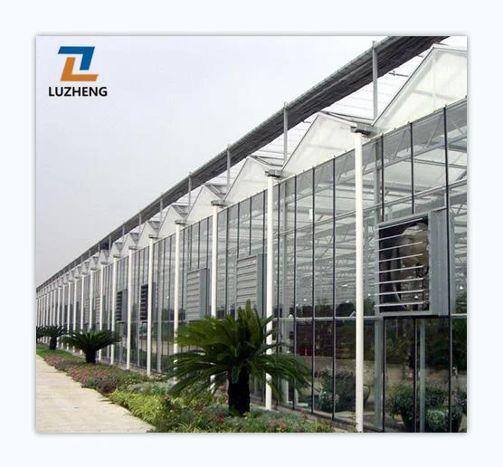 Commercial Factory Single Span Tomato Lettuce Plant Polycarbonate Sheet Greenhouse With Hydroponic Growing System For Sale