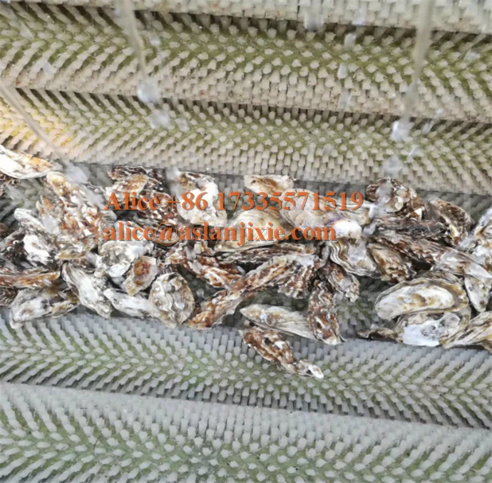 MSQX brush washer40.png