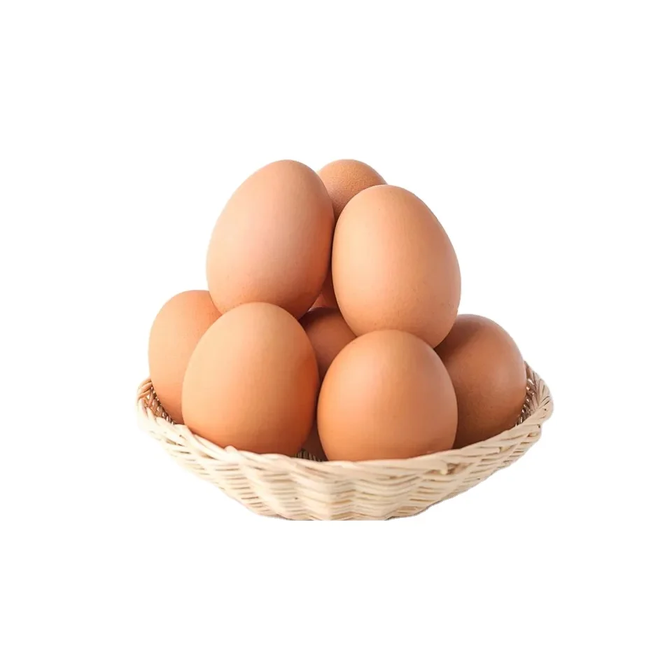 Best Quality Fresh Brown Table Chicken Eggs At Cheap Price