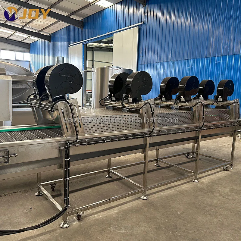 Factory Sale Full Automatic CE Certified Fried Potato Chips Making Machine for Vegetable Processing Plant