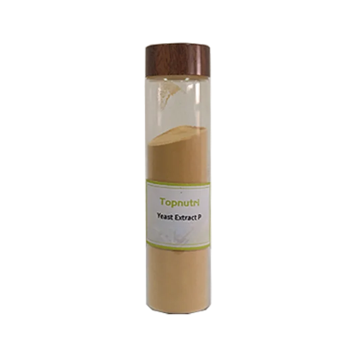 wholesale High Quality flavor nucleotides brewer yeast extract powder for food