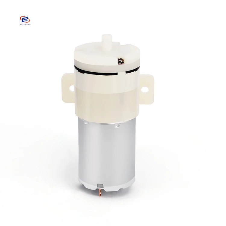 Hot Selling Portable Dc Micro Air Pump For Hydrogen And Oxygen Small Bubbles