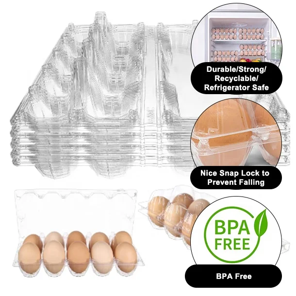 10 Holes Egg Box Chicken Egg Box Biodegradable Plastic Box Egg Trays Plastic For Grocery