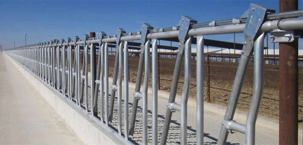 Cattle Headlock Gate Heavy Duty Cow Feeding Gate Panel with Galvanized Tube