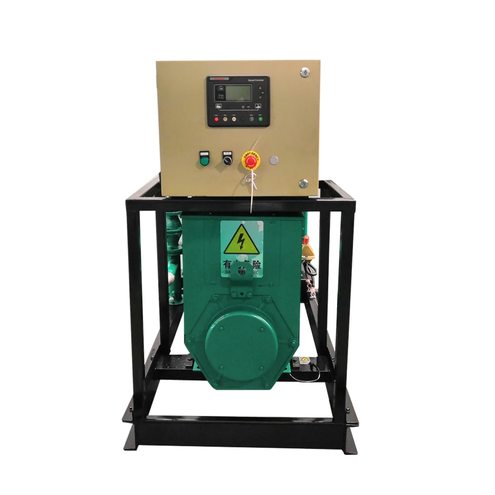 CE & ISO 3 фазы 20 кВт 25 кВА генератор природного газа цены