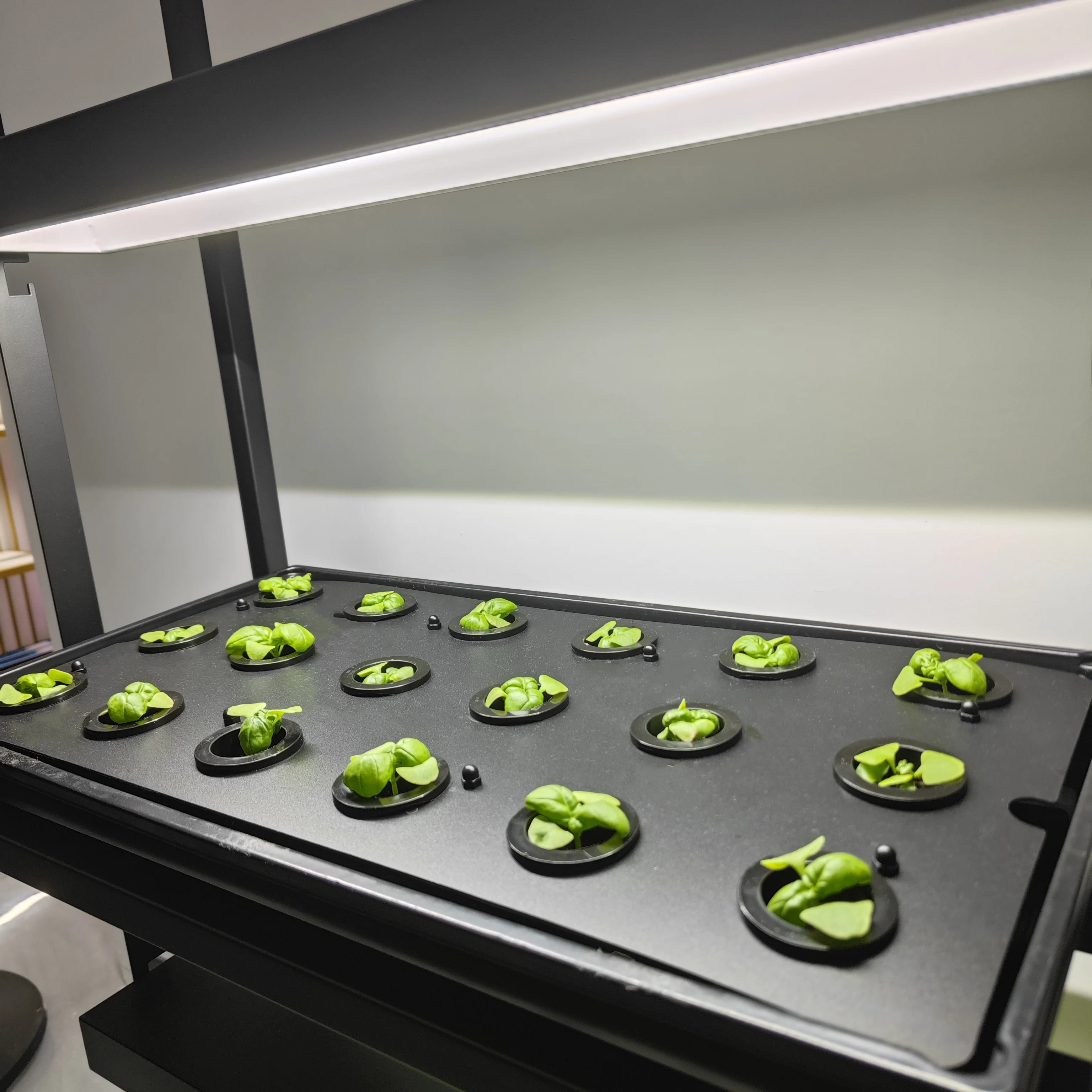 Indoor Garden Kitchen Herb Planter 1020 Hydroponics Grow Kit