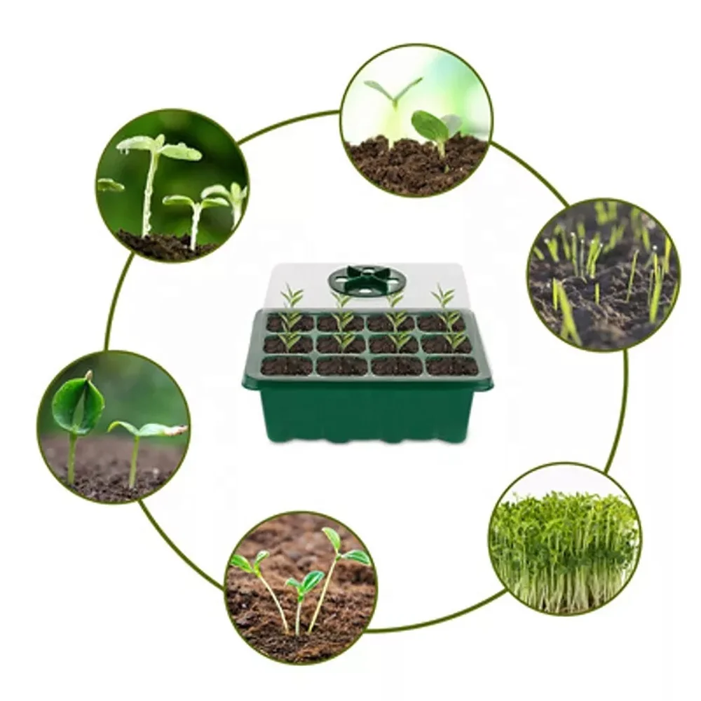 Wholesale Garden Nursery Plant Seed Grow Tray With Lid 12 Cell Germination Seedling Starter Tray Kit With Dome Grow Light