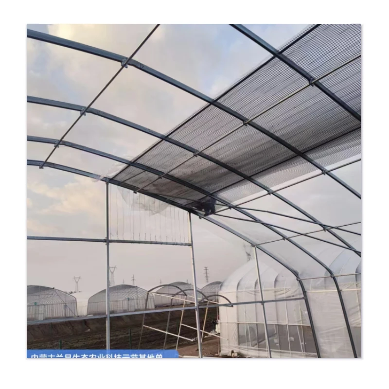 Experience Affordable Greenhouse Excellence - Durability and Wind Resistance