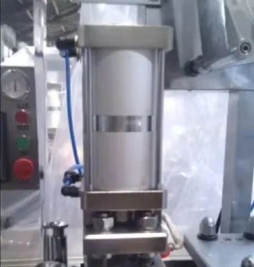 Dpp180 New Thermoforming  Plastic Chocolate Egg Blister Packing Machine