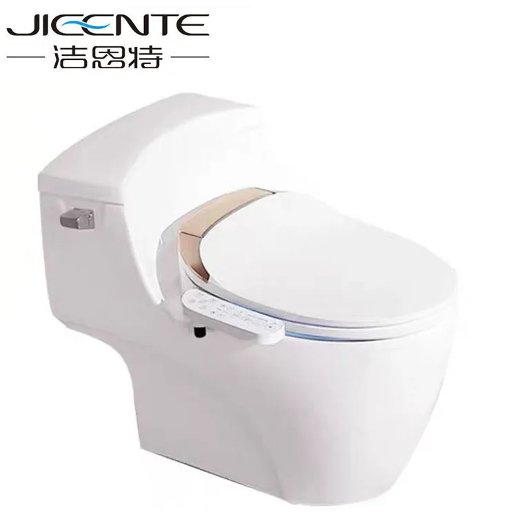 Custom Color Sided Control Panel Intelligent Smart Bidet Seat