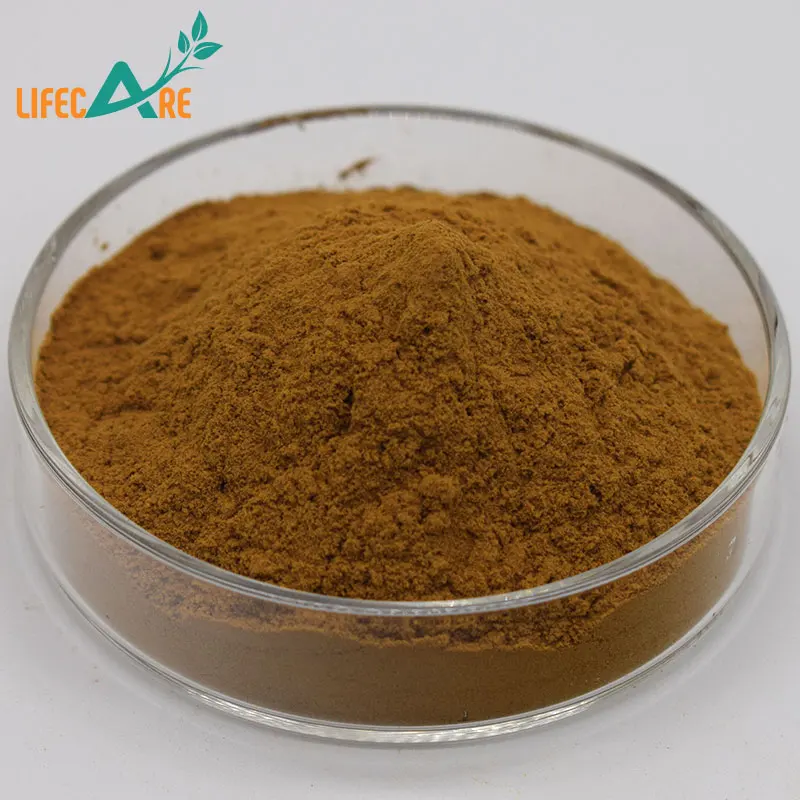 Lifceare Supply High Quality Black Truffles Mushroom Food Grade Black Truffle Extract