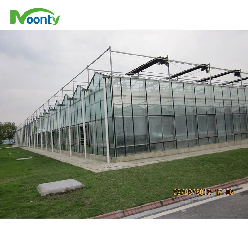 Complete Glass Agricultural Commercial Greenhouse Turnkey Project with Quick Construction