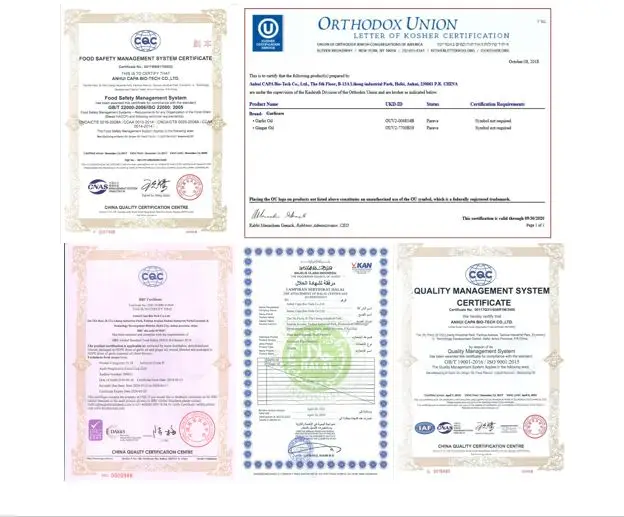 
Capa Supply High Quality Ginger Oil CAS 8007-08-7 with Best Price 