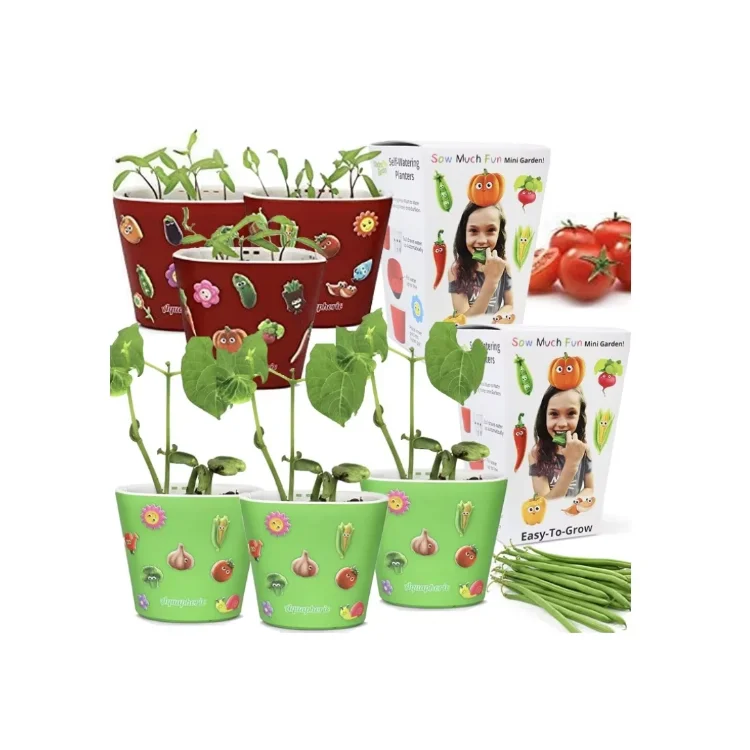 Vegetable Planting And Growing Kit For Kids 3 Self Watering Planters Window Garden Bean Sow Much Fun Seed Starting