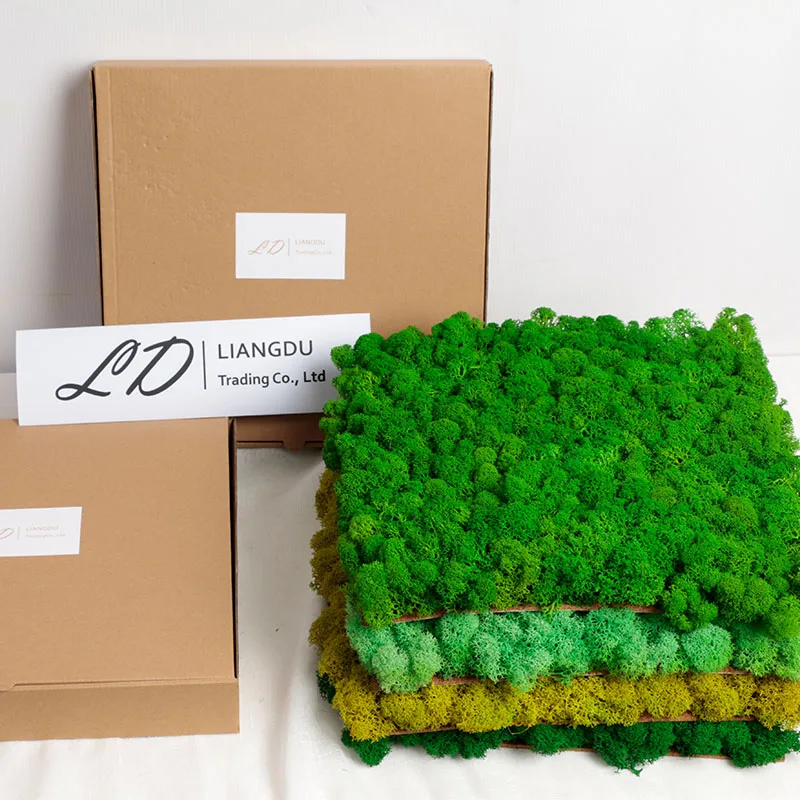 LD Amazon Hot selling Hand made wholesale Reindeer/preserved/eternal moss for wall decoration