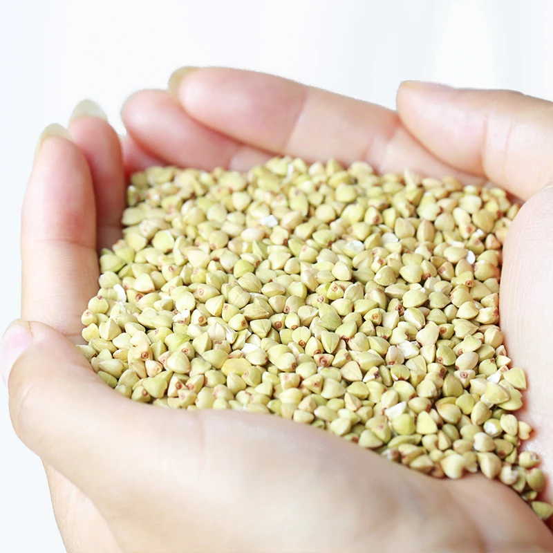 Hot selling Chinese factory supply buckwheat raw buckwheat wholesale best price Buckwheat seed