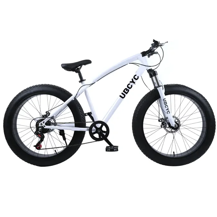 fast delivery 2022 New Model Big Tire 2 inch factory popular OEM popular Aluminium Snow BIke Hydraulic Brake wholesales Fat Bike