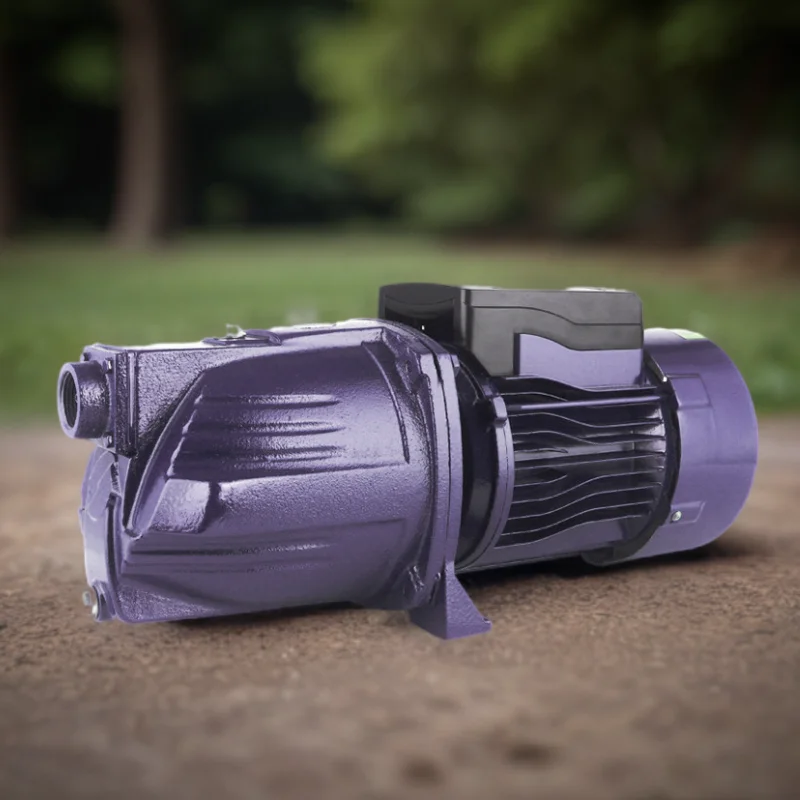 1inch 220v 0.75hp High Quality Electric Irrigation Self-Priming Surface Jet Water Pump