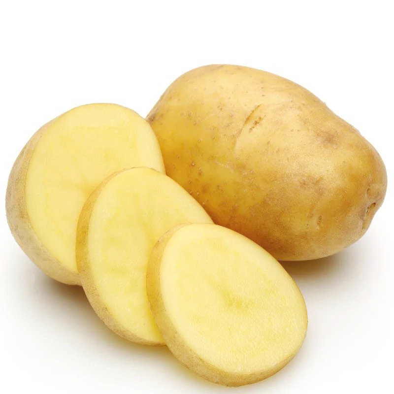 Russet potato exporter in China potato price for sale $200.00-$300.00 /Ton