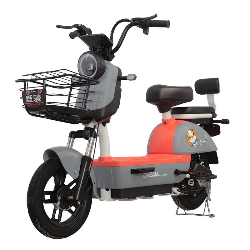Paige Electric 350w e bike conversion kit ebike cheap 500w with kit good service bicicleta eletrica electric bikes