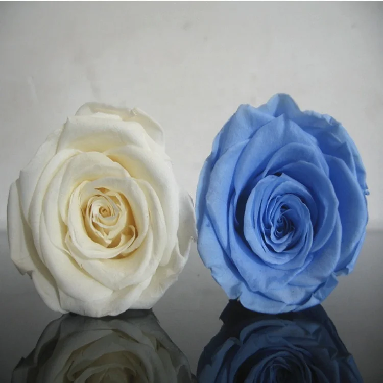 Factory supply A grade stabilized eternity rose flower head white color 4-5cm preserved roses head from KunMing