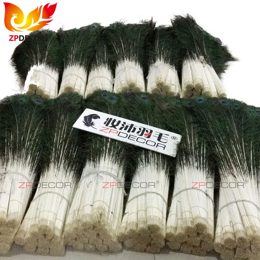 Real Shipping Picture from ZPDECOR Wholesale Bleached Dyed Purple Long Peacock Tail Feathers for Samba Carnival Costume