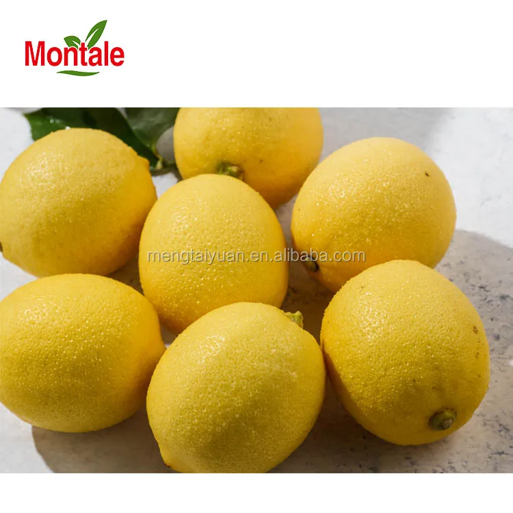 Montale Rich in Vitamins Fresh Lime Export Lemon