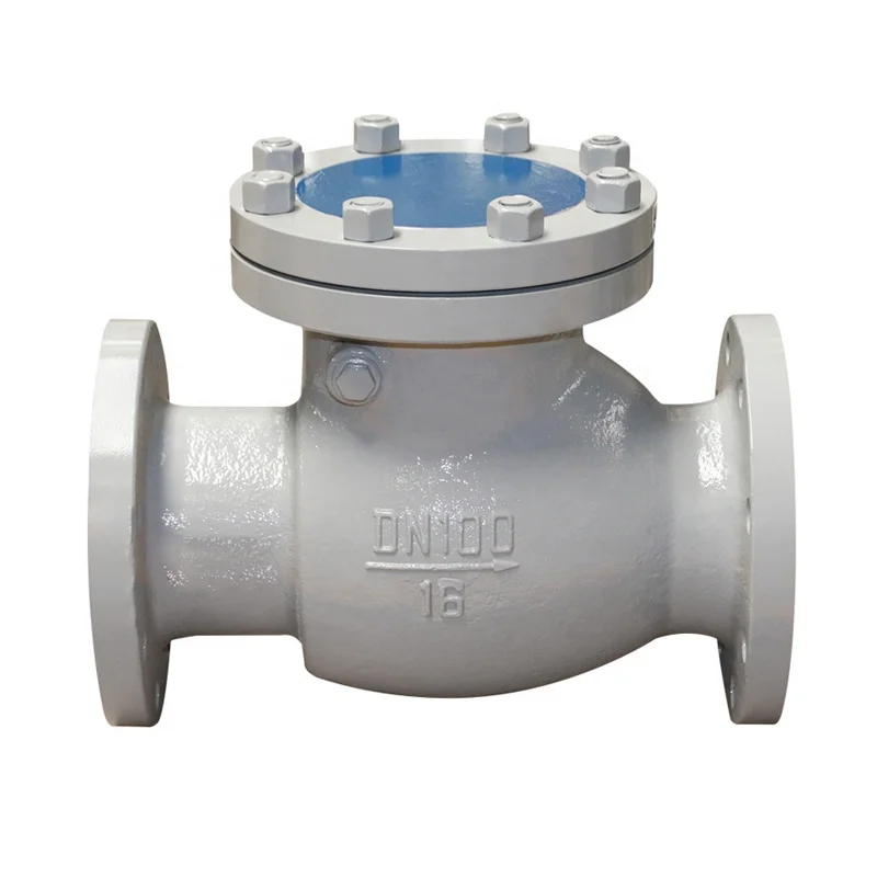 Flange End Swing Check Valve