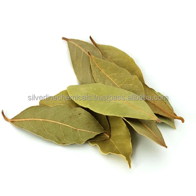 Bulk Bay Leaf Oil Bay Laurel Oil Price