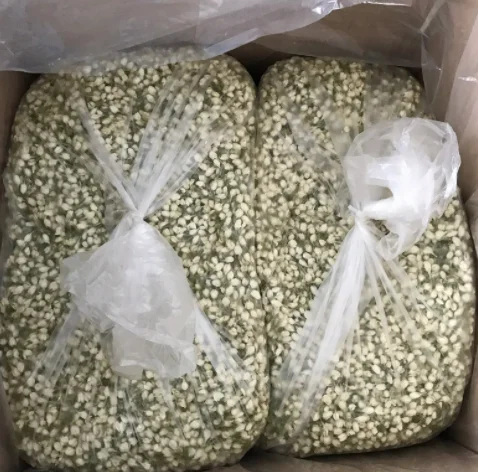 Wholesales BAIXIANGHUI High Grade Jasmine Tea Flower Tea for Beauty Slimming Chinese green Jasmine buds tea for sales