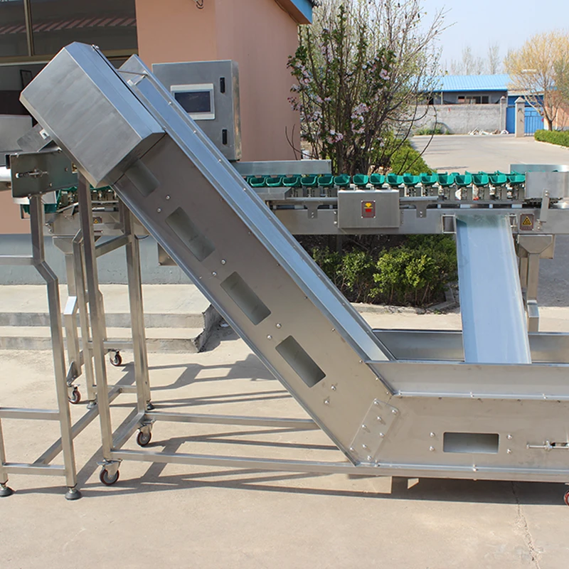 Fish Weight Grading Belt Type Seafood Sorting Machine
