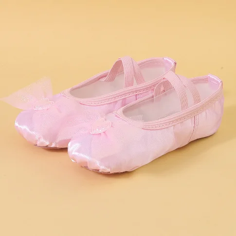 PR-5 Good Price Latin Dance Shoes Soft Dancing Shoes Ballet Dance Shoes