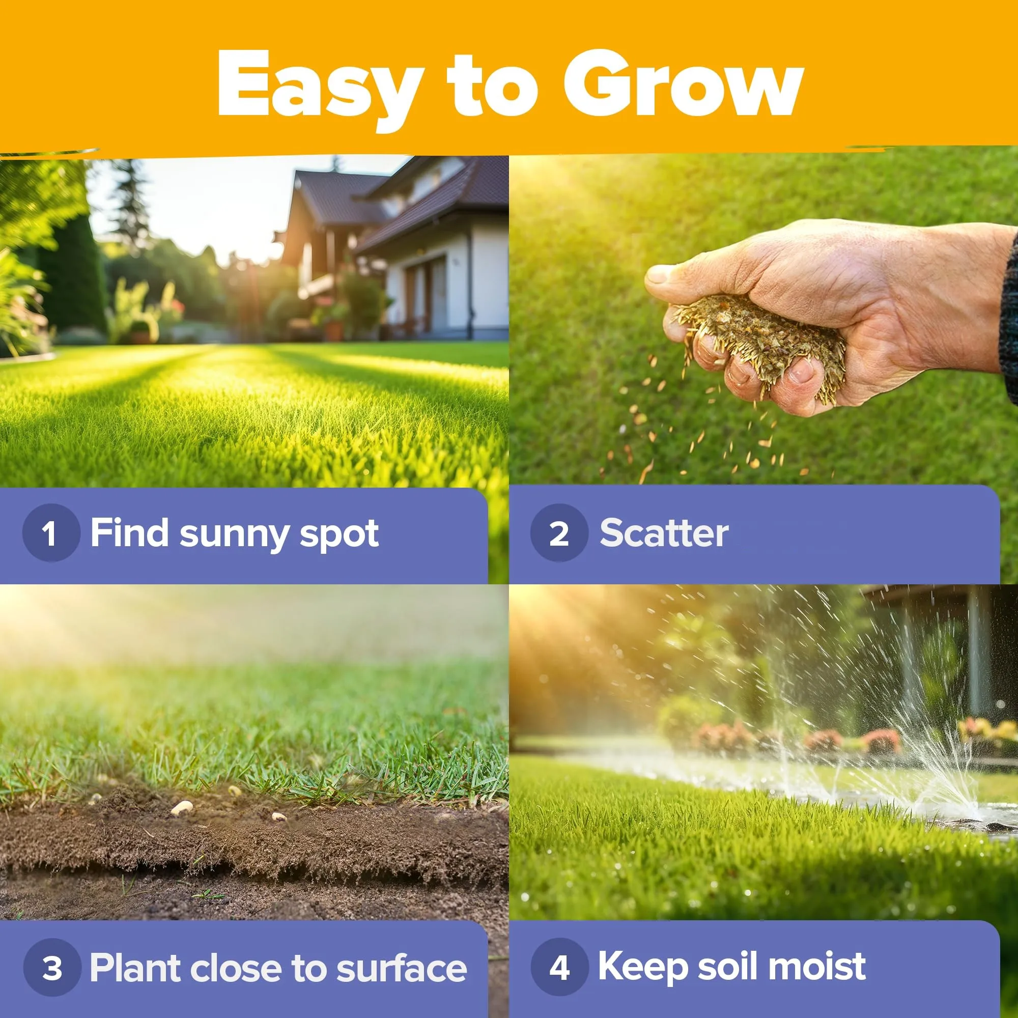 Wholesale Home Grown Perennial Wild Flower Bulk for Planting