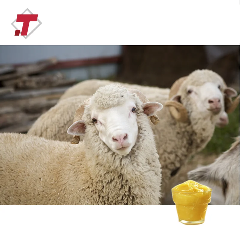 Pure Anhydrous Lanolin For Cosmetics Additives