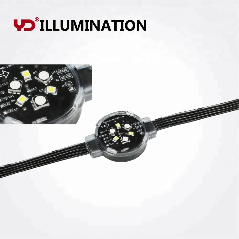 12V IP68 Waterproof Double Protection RGB Pixel 40mm Outdoor LED Point Lights Source for Landscaping