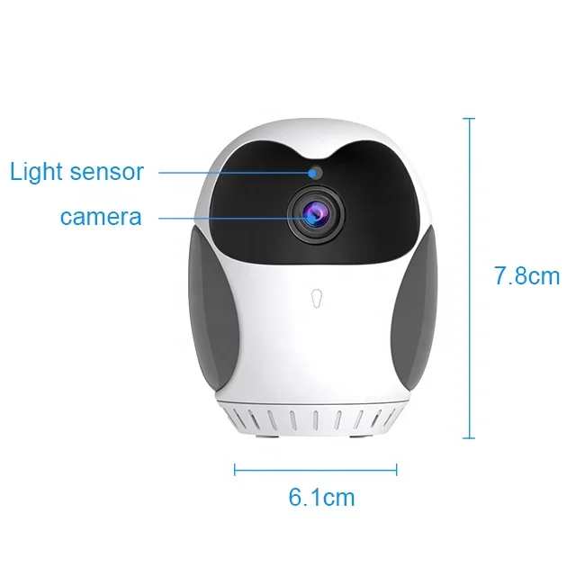 Accept small moq surveillance camera with hidden camera spy camera for D1 model