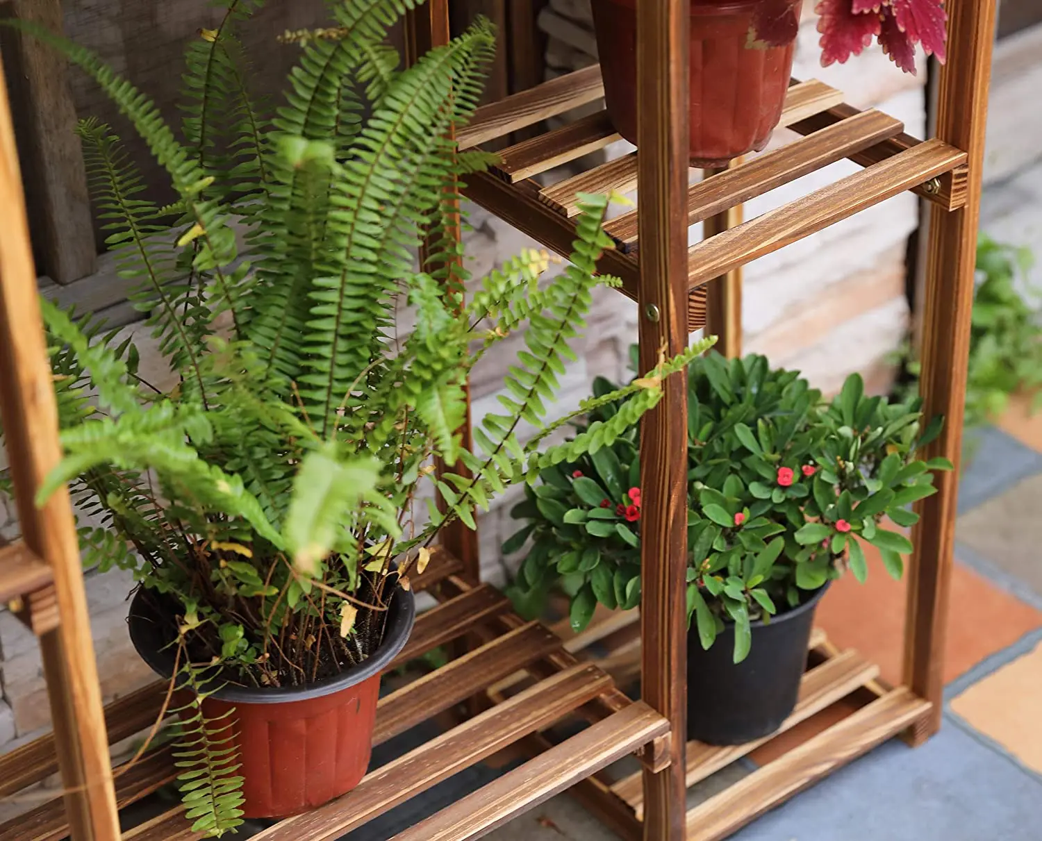 Household Natural Bonsai Flower Display Shelf  Room Plants Stand Planter Shelf