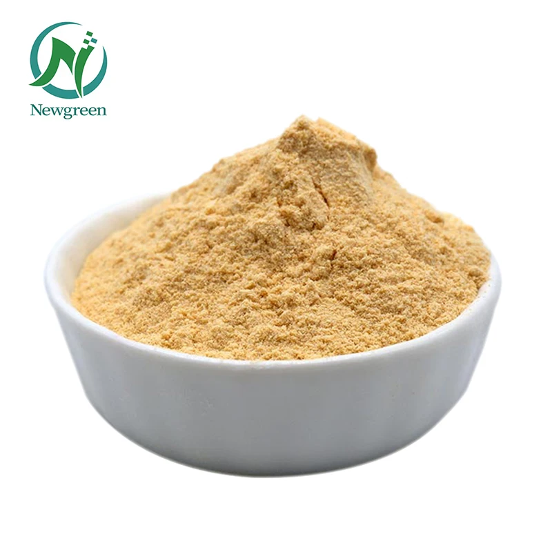 Hot Sell Natural Chitosan in Stock Chitosan Powder With Food Grade 2022